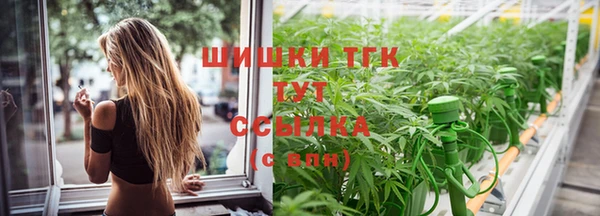 СК Белокуриха